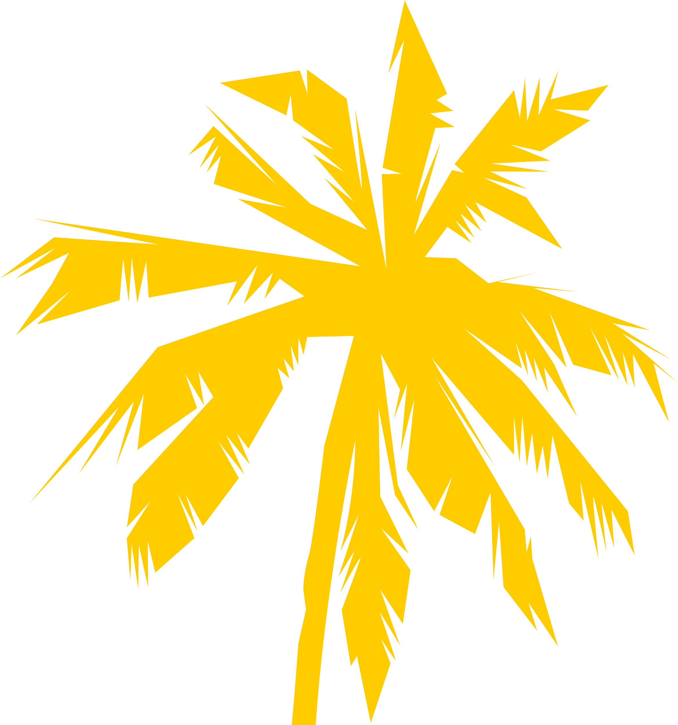 Palm